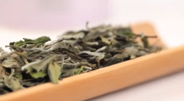 山西本地直播带货,直播带货