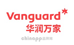 商场超市十大品牌-Vanguard华润万家