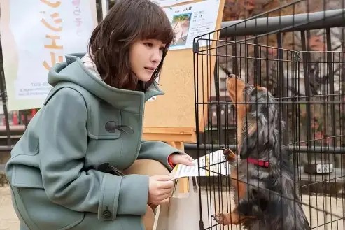 三千日元的使用方法