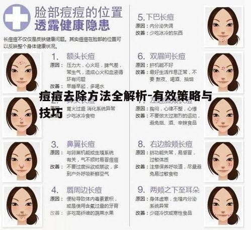 一、了解痘痘成因