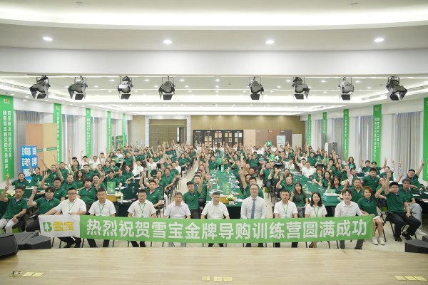 AI 全域营销重构家居建材生态：雪宝成行业破局的 “AI技术先行者”