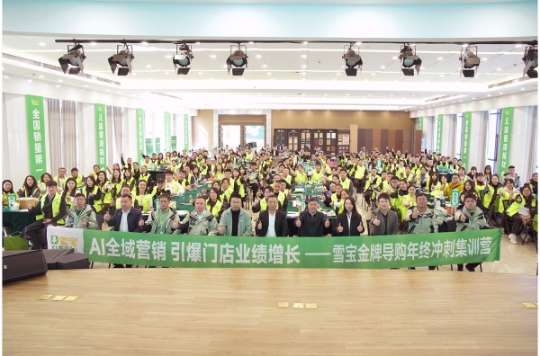 AI 全域营销重构家居建材生态：雪宝成行业破局的 “AI技术先行者”