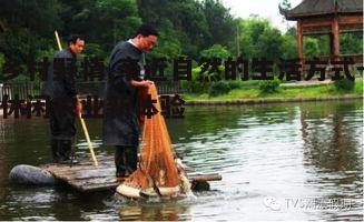 二、体验乡村野趣的多种方式