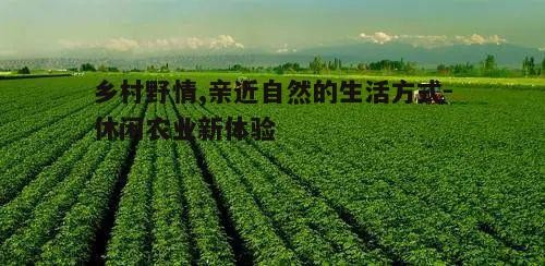 三、乡村休闲农业的发展趋势