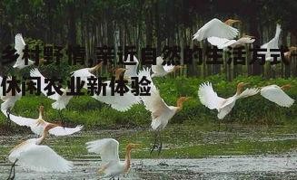 四、乡村野情的生态保护