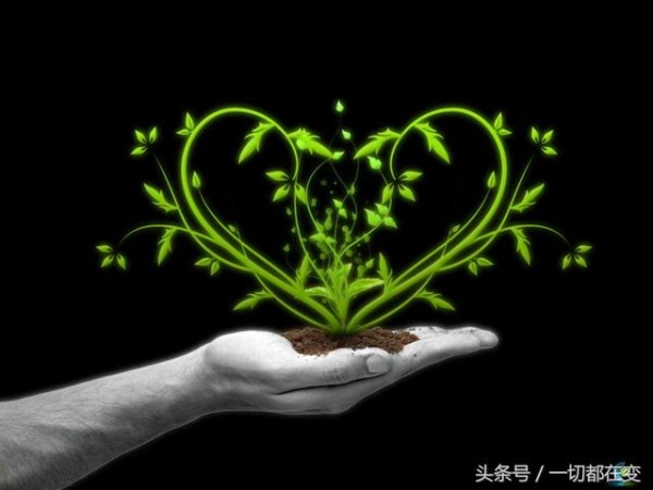 生活自然充实,人生自会舒畅