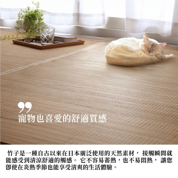 【質感居家】竹製地毯Force 天然竹材 抗菌除臭 寵物適用 好清潔 - 裝飾/擺設 - 植物.花