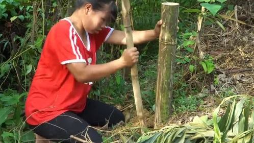 小丽是修建园艺高手，把家里修得更上档次了