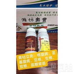 霉菌小知识：了解霉菌的真相