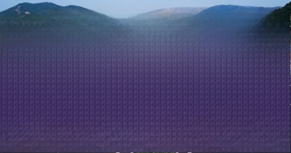 最新路况信息怎么查询-有驾