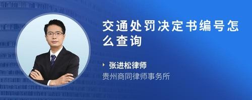 交通处罚决定书编号怎么查询