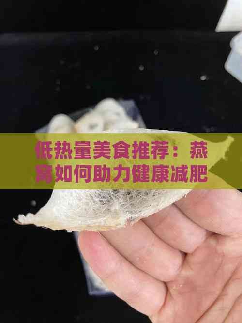 低热量美食推荐：燕窝如何助力健康减肥