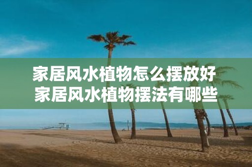 家居风水植物怎么摆放好 家居风水植物摆法有哪些