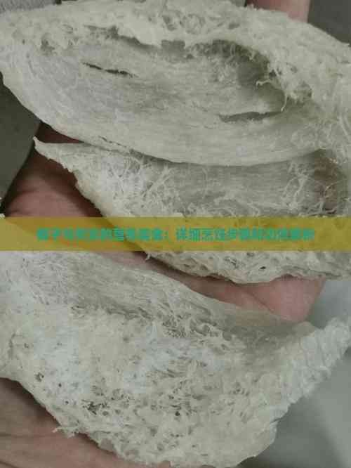 椰子与芡实的营养美食:详细烹饪步骤和功效解析