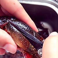 史上最合理清洗小龙虾步骤的做法图解6