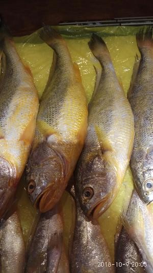 家烧野生黄鱼的做法 步骤1