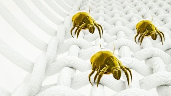 上海药皂可以杀死螨虫吗 杀死螨虫的方法有哪些？