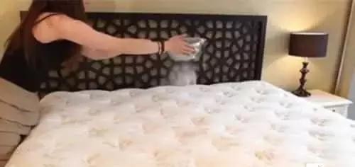 床垫不清理干净相当于睡在百万螨虫上？用一勺它就能轻松除螨！