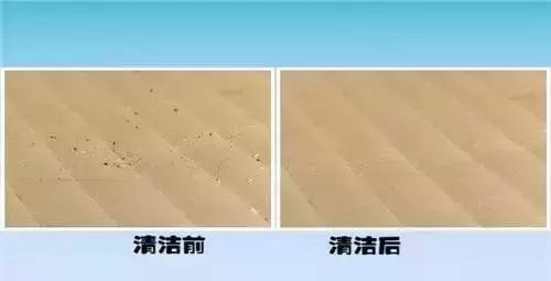 床垫不清理干净相当于睡在百万螨虫上？用一勺它就能轻松除螨！