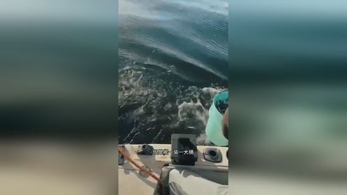 钓鱼资源才是王道