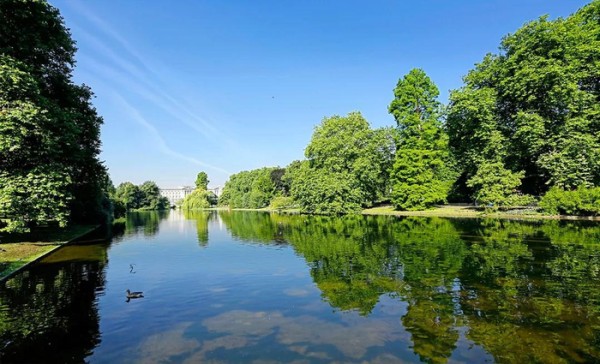 潍坊恒信——和谐共生，打造绿色建筑典范