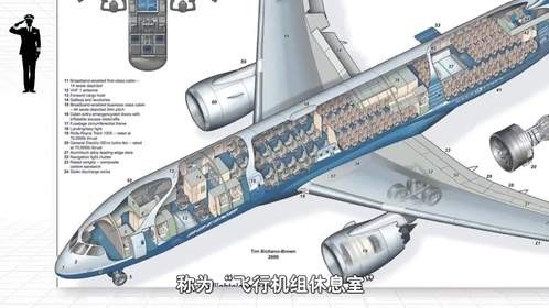 客机连飞超十小时，机组人员都怎么休息？揭秘飞机上隐秘的角落