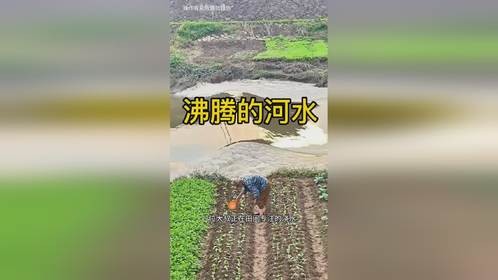 难道这河水经常这样吗？