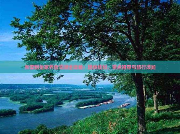 东营到张家界自驾游全攻略：路线规划、景点推荐与旅行须知