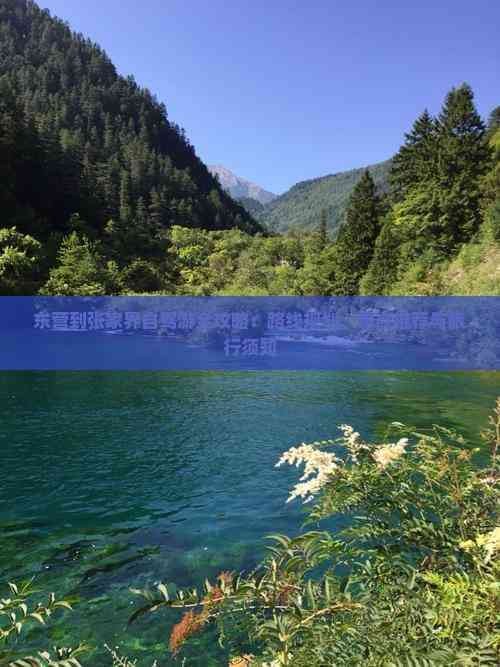 东营到张家界自驾游全攻略：路线规划、景点推荐与旅行须知