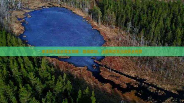 本溪到三亚自驾全攻略：路线规划、注意事项及沿途景点推荐