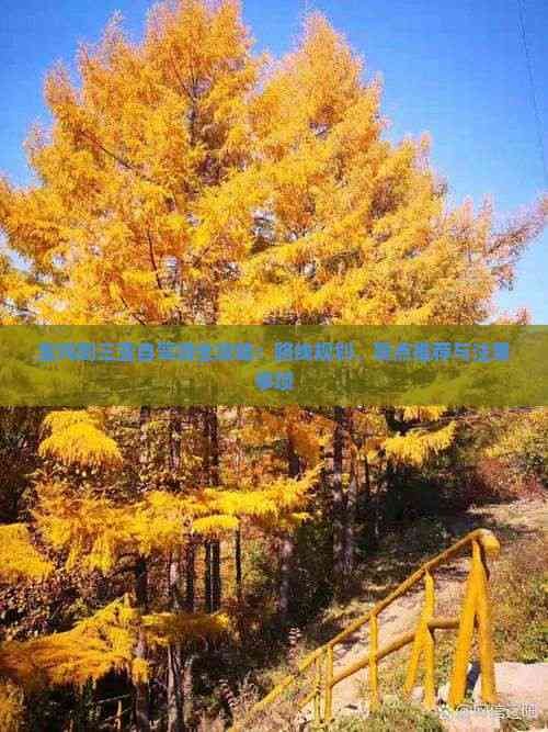 宝鸡到三亚自驾游全攻略：路线规划、景点推荐与注意事项