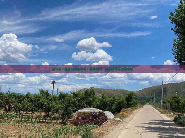 宝鸡到三亚自驾游全攻略：路线规划、景点推荐与注意事项