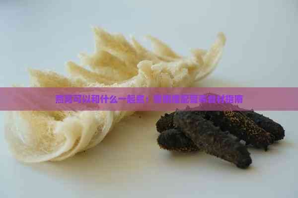 燕窝可以和什么一起煮：煲粥搭配营养食材指南