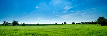 SBTi科学碳目标服务