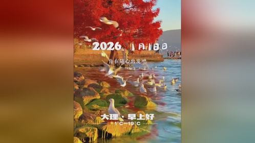 早安，周末时光正惬意，自在随心出发吧