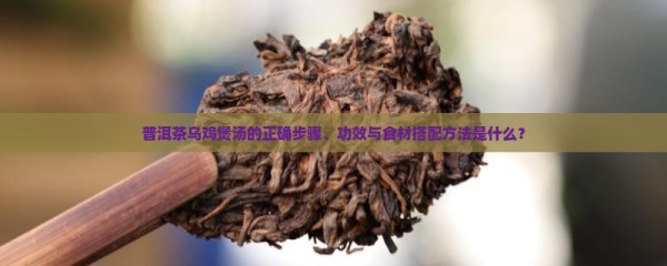 普洱茶乌鸡煲汤的正确步骤、功效与食材搭配方法是什么？