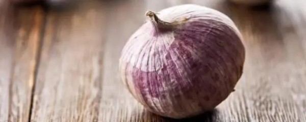 独头蒜什么时候种植，种植方法分享