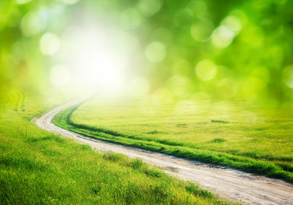 浴室卫生清洁技巧和使用注意事项