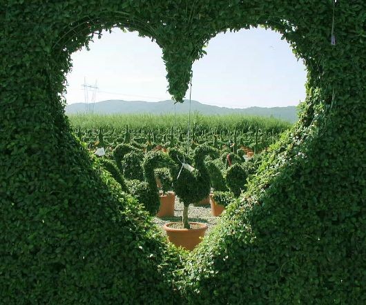 2020心理咨询师备考资料