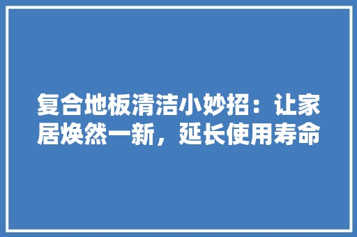 复合地板清洁小妙招：让家居焕然一新，延长使用寿命 现代风格装饰