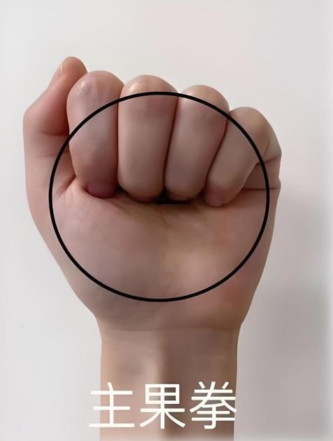 主食每日摄入量约为200-300g左右，相当于自己两个拳头大小的量