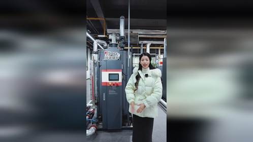 还在为蒸汽发生器设备占地大而烦恼？