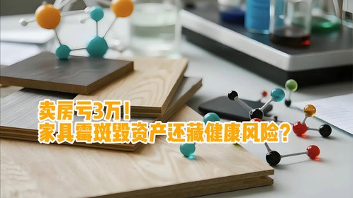 卖房亏3万？家具霉斑毁资产还藏健康风险？