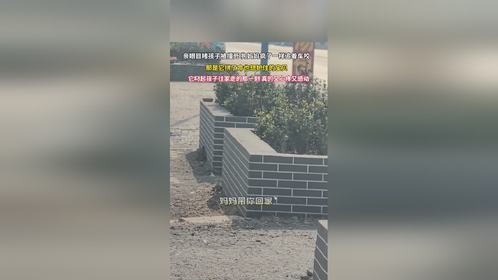 这一幕看破防了万物皆有灵