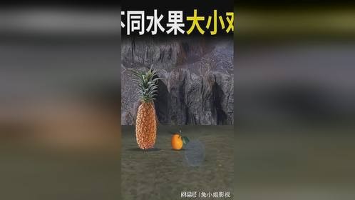 不同的水果大小对比