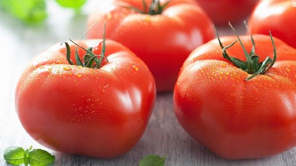 吃西红柿的好处和坏处
