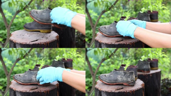 再利用废旧材料的概念，以维持可持续发展的环境。一名妇女通过种植蔬菜来改造旧靴子。