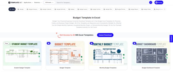 Template.net Budget Template In Excel