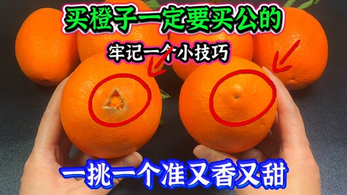 买橙子一定要买公的，牢记1个小技巧，1挑1个准，又香又甜