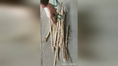 多物体专业捆绑方法